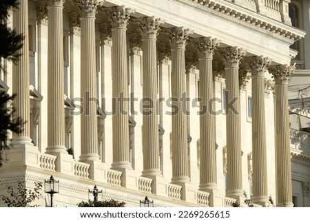 columns of US Capitol Building