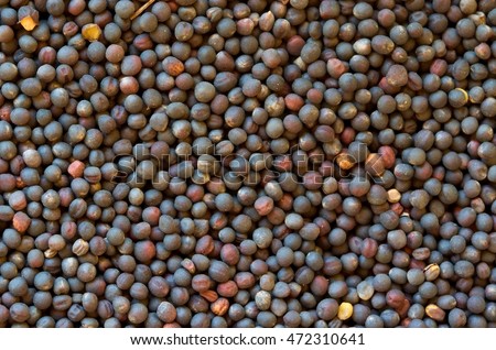 Colza seeds (rape plant). Canola seeds after harvest. Canola seeds after cropping. Harvested oilseed rape seeds with dirt. Close-up, flat lay. Background. Macro image can be used as background. 