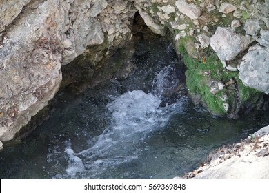 Comal River Spring