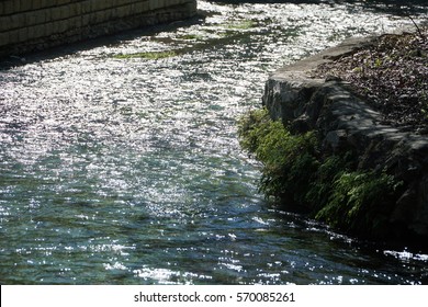 Comal River Spring 