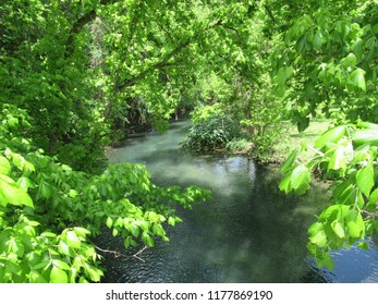 Comal River Texas