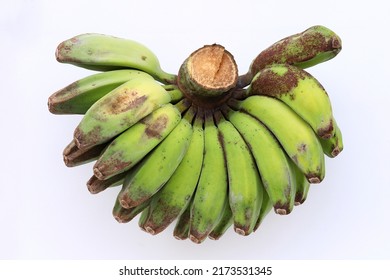 A Comb Of Unripe Banana Fruit Isolated On White Background