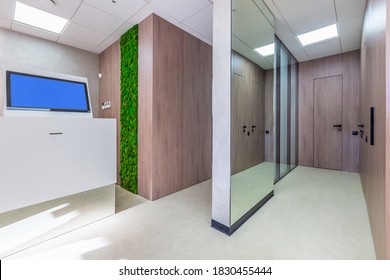 The combination of the modern office interior with the natural elements - wooden panels and the moss wall - Powered by Shutterstock