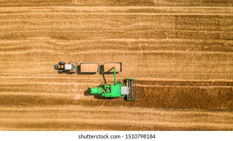 Combine Drop The Grain Onto The Tractor Trailer, Aerial View