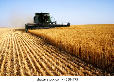 combine harvester - Shutterstock ID 48384775