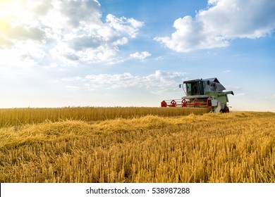 Combine harvester in action on wheat field. Harvesting is the process of gathering a ripe crop from the fields. - Shutterstock ID 538987288