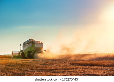 Combine harvester agriculture machine harvesting golden ripe wheat field - Shutterstock ID 1762704434