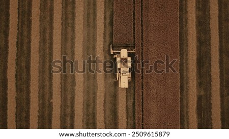 Image, Stock Photo Combine harvester harvests grain field in the evening light from the air