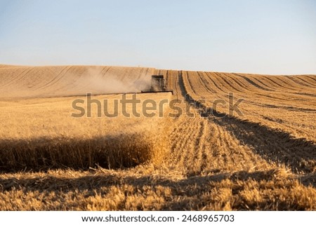 Similar – A combine harvester is harvesting grain crops on a cornfield in the evening sun seen from above