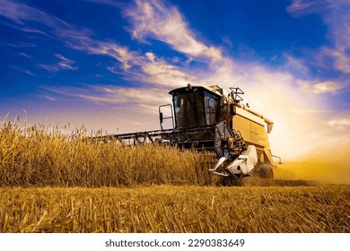 combine harvester at harvest in the field - Shutterstock ID 2290383649