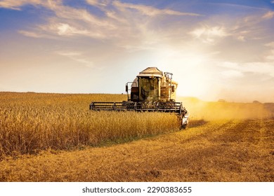 combine harvester at harvest in the field - Shutterstock ID 2290383655