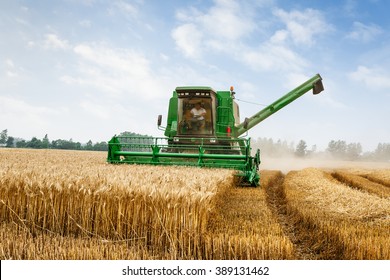 Combine Harvester Harvest Ripe Wheat On A Farm