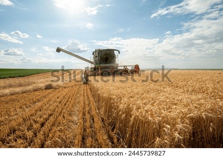 Similar – Image, Stock Photo Grain harvest. Combine harvester in operation on wheat field. Harvesting process. Agricultural machinery