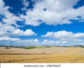 Combine Harvester Harvesting Field Of Wheat - Powered by Shutterstock