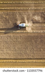 A Combine Harvester Is Harvesting Grain Crops On A Cornfield In The Evening Sun Seen From Above