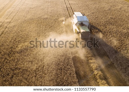 Image, Stock Photo Mähdräscher harvests a grain field in the evening light from the air