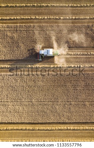 A combine harvester is harvesting grain crops on a cornfield in the evening sun seen from above