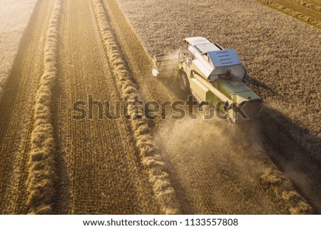 Similar – A combine harvester is harvesting grain crops on a cornfield in the evening sun seen from above