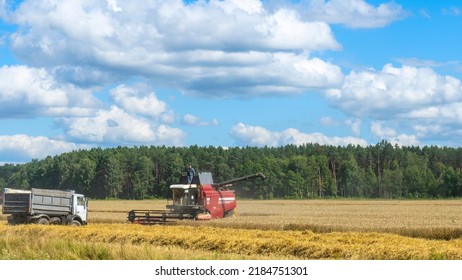 Combine Harvester Harvesting On The Field. Harvesting Wheat. Harvester Machine Working In Field. Agriculture. Large Scale Wheat Harvest Operation.