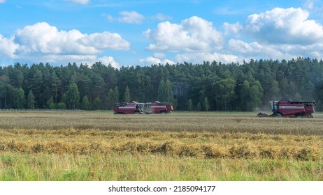 Combine Harvester Harvesting On The Field. Harvesting Wheat. Harvester Machine Working In Field. Agriculture. Large Scale Wheat Harvest Operation.