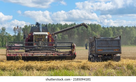 Combine Harvester Harvesting On The Field. Harvesting Wheat. Harvester Machine Working In Field. Agriculture. Large Scale Wheat Harvest Operation.