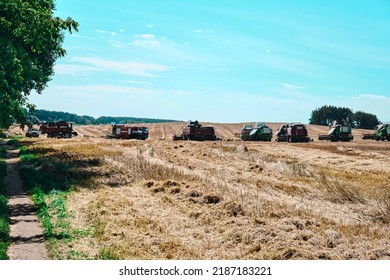 Combine Harvester Harvesting On The Field Machine Working Agriculture Large Scale Wheat Harvest Operation Outdoors