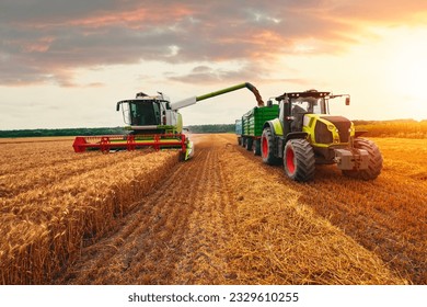 Combine harvester harvesting ripe wheat on big wheat field and tractor .Agricultural activity, excellent harvest in sunset