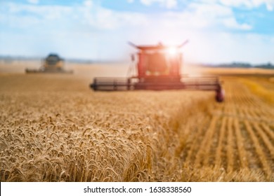 Combine harvester harvesting wheat on sunny summer day. Harvest time. Agricultural sector