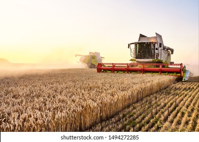 Combine harvester harvests ripe wheat. agriculture