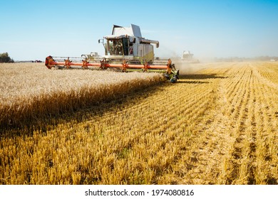 Combine harvester harvests ripe wheat. Ripe ears of gold field on the sunset cloudy orange sky background. . Concept of a rich harvest. Agriculture image. - Shutterstock ID 1974080816