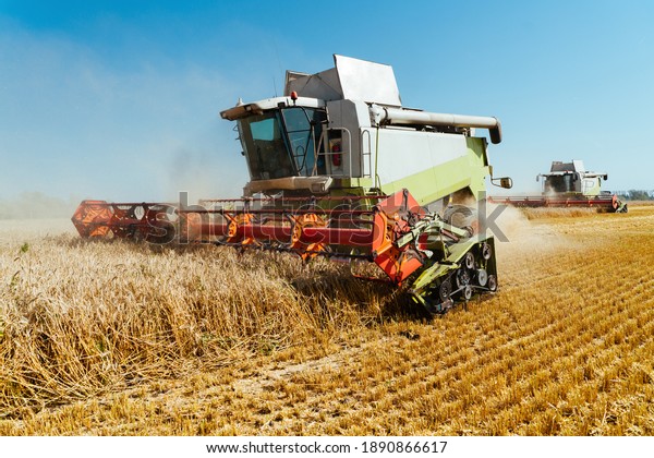 Combine harvester harvests ripe wheat.\
Ripe ears of gold field on the sunset cloudy orange sky background.\
. Concept of a rich harvest. Agriculture\
image