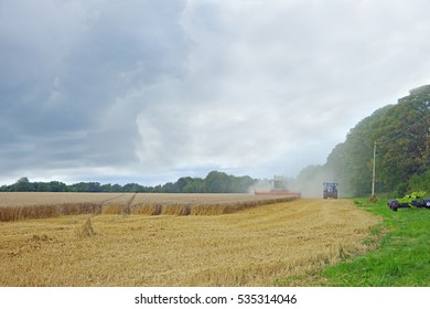 A Combine Harvester Loading Corn Into A Waiting Trailer Showing The Dusting Working Conditions Of Cotswold Farm Workers, Gloucestershire, England, UK