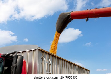 Combine Harvester Loading Corn Kernels Into Grain Truck During Harvest Season. Farming, Ethanol And Commodity Market Price Concept