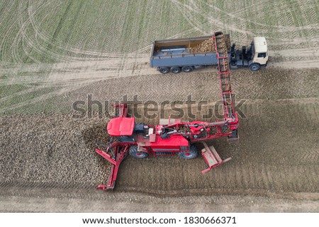 Image, Stock Photo Machine harvest sugar beet.