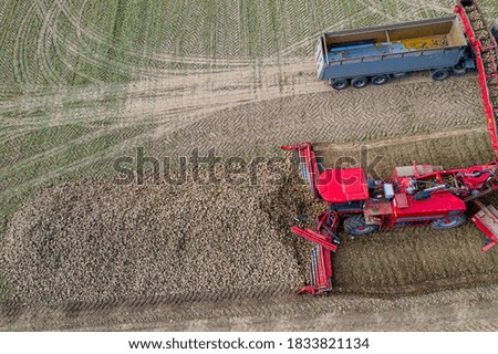 Similar – Image, Stock Photo Machine harvest sugar beet.