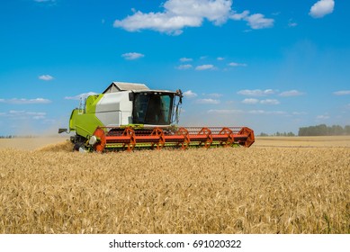 Combine harvester threshes wheat on the field, Russia