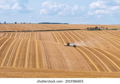 A Combine Harvester and Tractor harvesting a grain crop in a golden rolling hills field with lines on a sunny day.