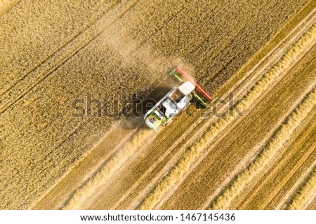 Combine harvester harvests grain field in the evening light from the air