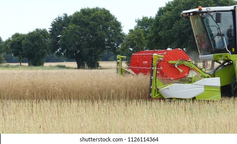 Combine harvester, working on a rape field in the district of Hannover, Germany