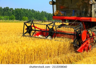 combine harvester working on a wheat field, A combine harvester reaps the wheat in the field