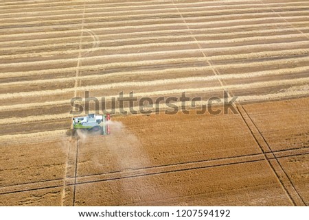 Similar – Image, Stock Photo Mähdräscher harvests a grain field in the evening light from the air