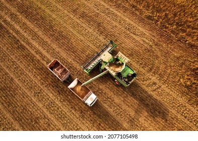 Combine harvester working in wheat field. Harvesting machine during cutting crop in farmland. Combines grain harvesting. Harvester loads wheat in truck for transportation to a flour and bread plant