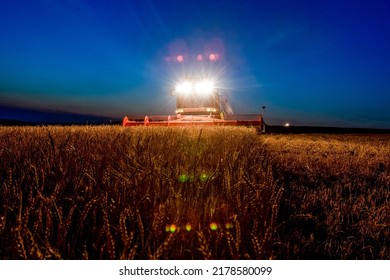 Combine Harvester Working In Wheat Field At Dark Night. Agriculture Background. Harvest Season