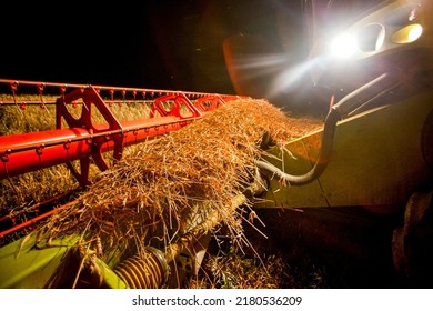 Combine Harvester Working In Wheat Field At Dark Night. Agriculture Background. Harvest Season