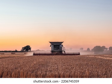 Combine Harvester Working In A Wheat Field At Sunset