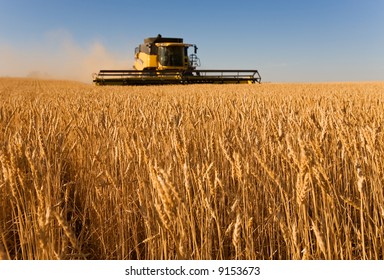 Combine harvester working in a wheat field,(focus on front row of wheat) - Shutterstock ID 9153673