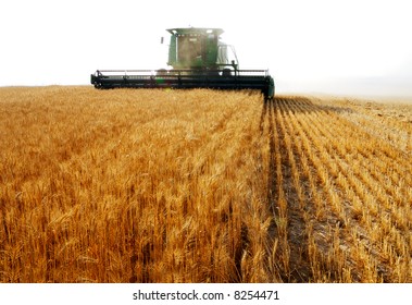 combine harvesting - Shutterstock ID 8254471