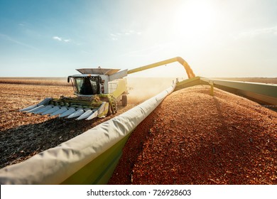 Combine harvesting corn 