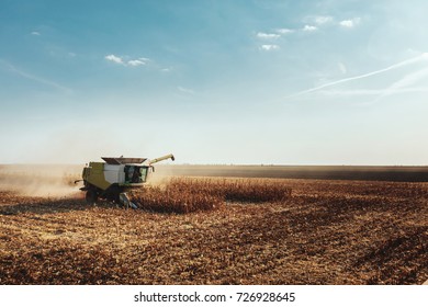 Combine Harvesting Corn 