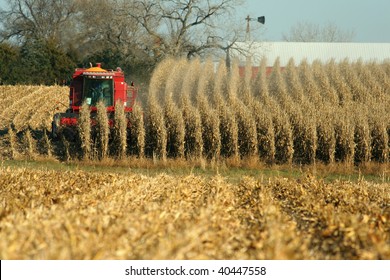 Combine Harvesting Corn, Rural Nebraska